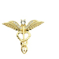 Cadecus Wings Brooch